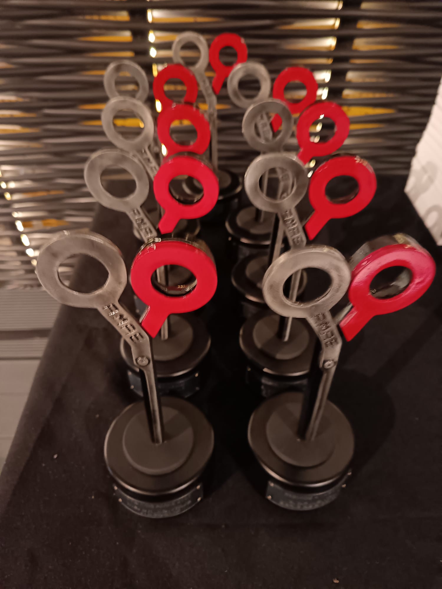Trofeos de los I Premios AMAE